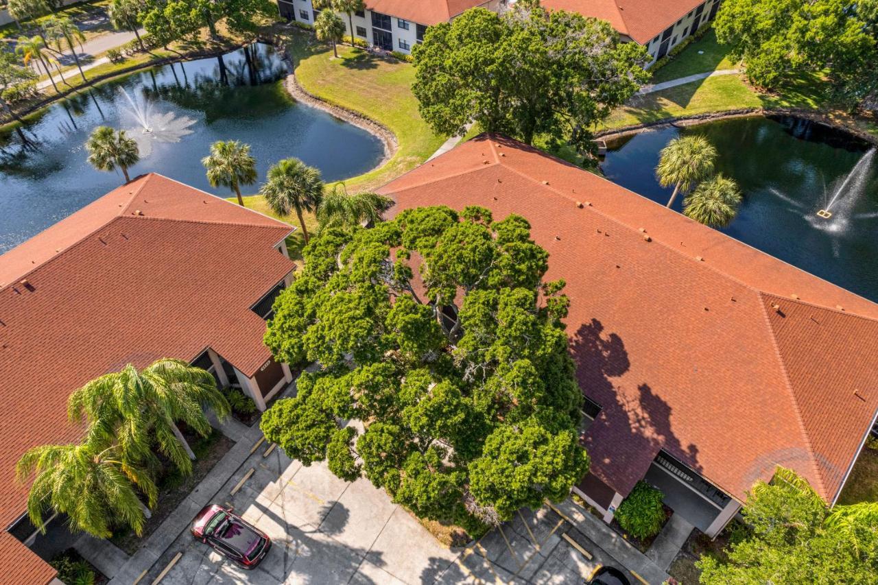 Palm Lagoon Bradenton Ngoại thất bức ảnh